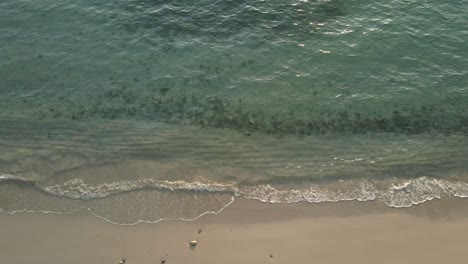 Aerial-top-view,-medium-slow-trucking-right-shot-of-ocean-with-small-tropical-wave’s-break-on-a-beach
