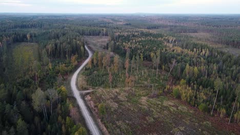 Technical-forest-path-road-for-forestry-recreation-and-logging-aerial-view