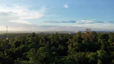 Aerial---Jungle-in-Iguazu-National-Park,-Misiones,-Argentina,-wide-circle-shot