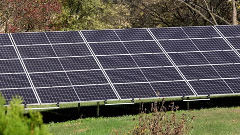 Medium-shot-of-solar-panels-on-grassy-lawn
