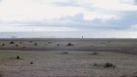 Der-Nordsee-windpark-In-Großbritannien-Ist-Vom-Strand-Bei-Kapelle-St.-Leonards-An-Der-Ostküste-In-Der-Nähe-Von-Skegness-Aus-Aufs-Meer-Hinaus-Zu-Sehen