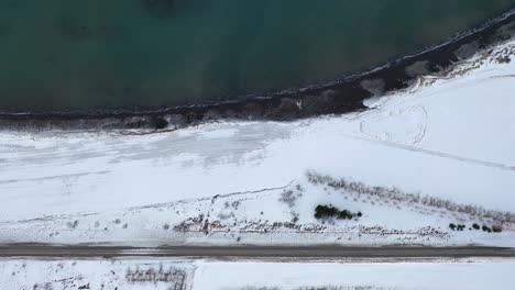Aerial-top-down-shot-of-a-shore-in-the-winter,-waves-crashing-into-a-snowy-beaches