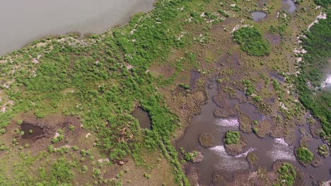Grand-Isle-Louisiana-aerial-view