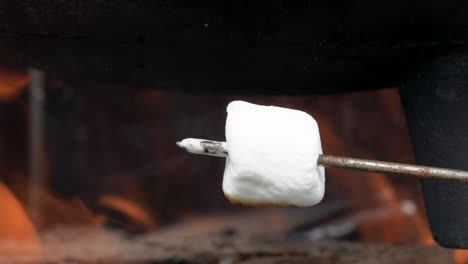 Einen-Marshmallow-über-Den-Flammen-Eines-Lagerfeuers-Rösten