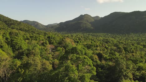 Langsame-Luftaufnahme-Direkt-über-Den-Bäumen-Im-Regenwald-Der-Insel-Koh-Chang-In-Thailand