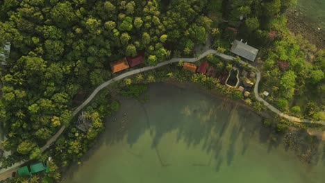 Top-down-rotating-aerial-shot-of-palm-trees-and-shadows-along-the-coast-of-Koh-Chang,-Thailand