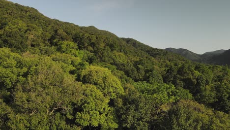 Fast-rising-aerial-shot-in-the-green-rainforest-on-the-island-of-Koh-Chang,-Thailand