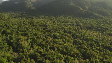 Langsame-Luftneigung-Eines-Ausgedehnten-Regenwaldes,-Der-Von-Der-Sonne-Auf-Der-Insel-Koh-Chang,-Thailand,-Hervorgehoben-Wird