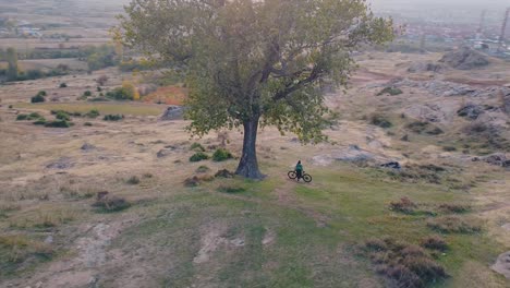 Girl-standing-under-a-big-tree-enjoying-in-the-beautiful-peaceful-nature-drone-shot