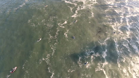 Aerial-view-of-Surfers-at-Santa-Cruz-Beach-California-shot-in-4k-high-resolution