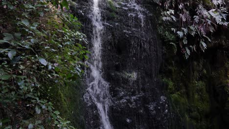 Waterfall-in-New-Zealand's-Jungles-in-the-Pelorus-Bridge-Scenic-Reserve
