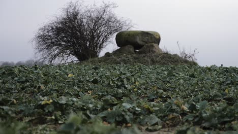 Historical-dolmen-stone-megalithic-site-in-Brandenburg-Germany,-rack-focus