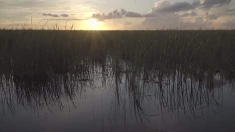 Hermosa-Puesta-De-Sol-En-Los-Everglades-Del-Sur-De-Florida-Con-Pasto-Verde-Y-Agua-Quieta