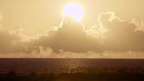 Warmer-Und-Tropischer-Sonnenuntergang-Am-Strand-Mit-Fliegenden-Vogelsilhouetten