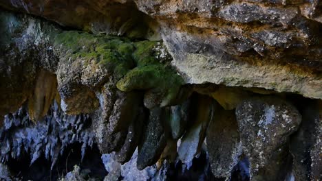 Geological-Rock-Formations-in-Rawhiti-Cave-in-New-Zealand,-Closeup