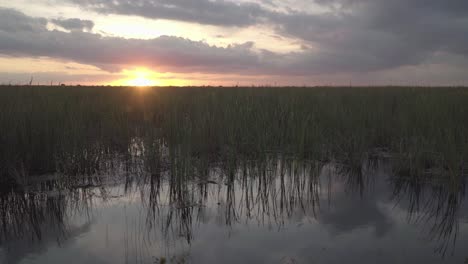 beautiful-south-florida-everglades-sunset-with-green-sawgrass-and-still-water