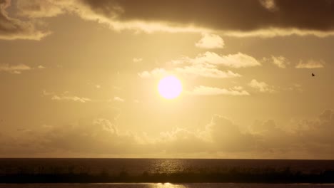 Warmer-Und-Tropischer-Sonnenuntergang-Am-Strand-Mit-Fliegenden-Vogelsilhouetten