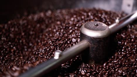 Dunkle-ölige-Kaffeebohnen-Frisch-Vom-Röster-Werden-Gerührt,-Um-Den-Prozess-Abzukühlen-Und-Den-Prozess-Zu-Stoppen,-Um-Einen-Bitteren-Geschmack-Im-Getränk-Zu-Vermeiden