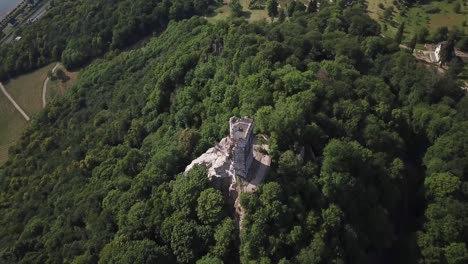 Burgruine-Drachenfels,-ruined-hill-castle-in-Drachenfels,-surrounded-by-dense-green-forest