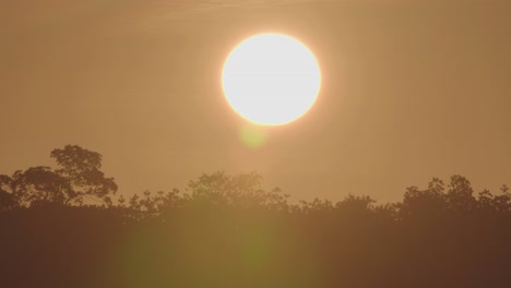 Warme-Sonnenaufgangslandschaft-Mit-Vorbeifliegenden-Vogelsilhouetten