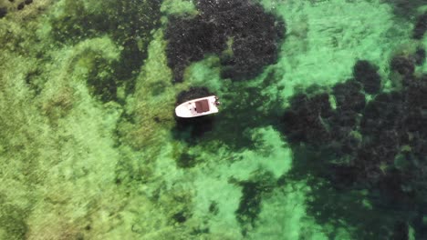 Ascending-aerial-reveals-white-boat-over-reef-in-crystal-clear-water
