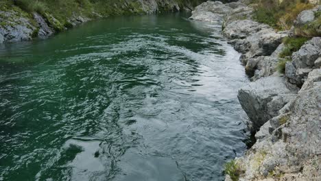 Flowing-River-in-New-Zealand's-Pelorus-Scenic-Nature-Reserve,-Tilt-up
