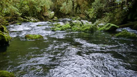 Río-Resurgimiento-Riwaka-En-El-Parque-Nacional-Kahurangi-En-Nueva-Zelanda