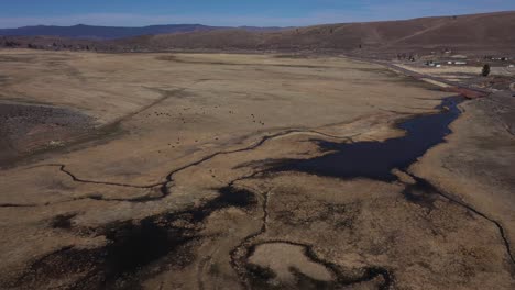 High-desert-wetland-from-snow-melt