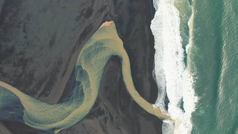 Yellow-river-mouth-on-black-sand-beach-in-south-Iceland-Aerial-Footage
