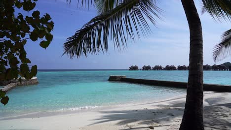 Tropischer-Strand-Weißer-Sand,-Blaue-Palmen-Des-Indischen-Ozeans