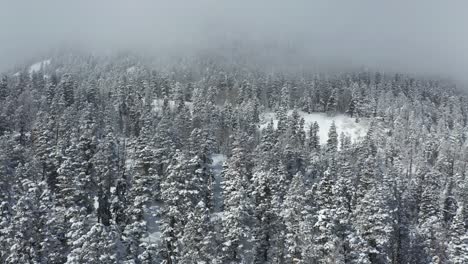 Schneebedeckter-Nadelwald-Und-Berghügel,-Drohnenluftaufnahme