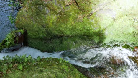 Fließender-Wasserfall-über-Moosigen-Felsen-Im-Neuseeländischen-Dschungel-naturschutzgebiet