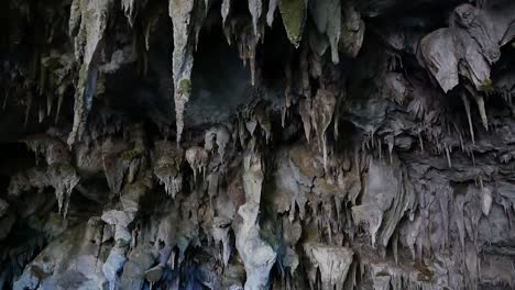 Formaciones-Rocosas-De-Estalactitas-Colgando-Del-Techo-De-La-Cueva-Rawhiti,-ángulo-Bajo