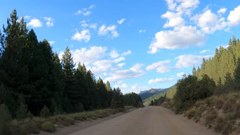 Pov-drive-on-rural-road-surrounded-by-pine-trees-during-blue-sky-and-sunlight-In-Patagonia-Argentina