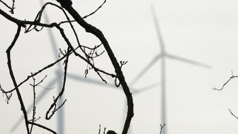 Tree-branches-in-foreground-with-wind-turbines-turning-behind,-nature-coexist