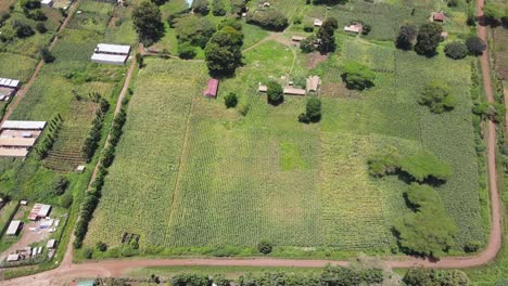 Anbauflächen-Im-Dorf-Afrika-Kenia-Loitokitok