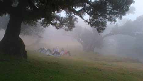 Group-Of-Young-Women-Doing-Yoga-Exercise-Healthy-In-mystic-and-foggy-Park-early-in-morning