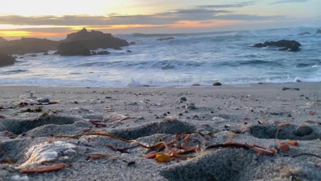 Klumpen-Von-Quallen-Und-Meeresgurken,-Die-Im-Januar-2021-An-Den-Sandstränden-Von-Monterey-Bay,-Kalifornien,-An-Land-Gespült-Wurden