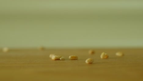 Grains-of-wheat,-slow-motion-close-up-falling-in-a-pile