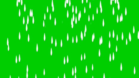 rain-animation-green-screen,-water-drop-on-green-background