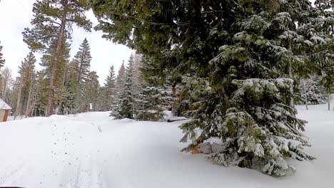 Im-Utv-Durch-Frischen-Schnee-Fahren,-Mit-Schneebedeckten-Bäumen-Und-Hütten