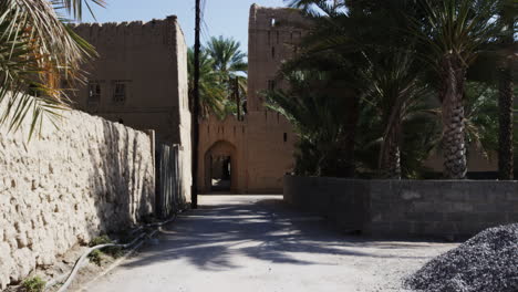 Town-next-to-ruins-of-Birkat-Al-Mouz,-Berqut-al-Moz,-in-Oman,-wide-shot
