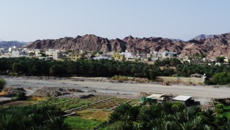 Palm-tree-plantation-in-front-of-arid-hills-in-Fanja,-Oman,-wide-shot-pan-right