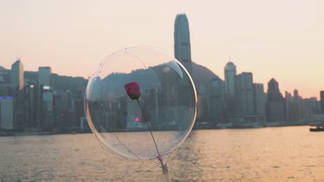 Eine-Frau-Hält-Eine-Einzelne-Rote-Blütenblattrose-Am-Victoria-Harbour-Mit-Blick-Auf-Die-Skyline-Der-Insel-Hong-Kong,-Während-Der-Sonnenuntergang-Einsetzt