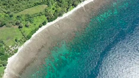 Aerial-"bird-eye"-view-of-a-beach-with-turquoise-sea-in-Negros-Oriental,-Philippines,-paradise-for-holidays