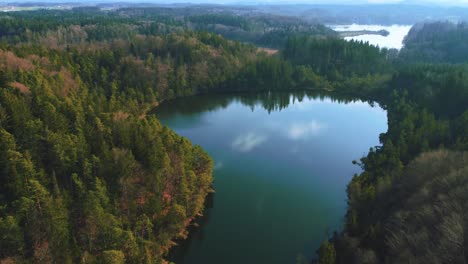 4K-UHD-aerial-drone-flight-moving-above-a-lake,-a-green-forest,-and-tree-tops-in-a-National-Park-Bavaria-in-spring-in-Germany