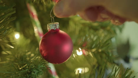 Decorating-the-Christmas-tree-with-red-bulb
