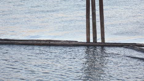 Wooden-debris-of-old-jetty-floating-on-river,-water-gleam-in-sunlight