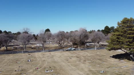 A-panning-drone-shot-fallowing-a-white-car-as-it-drives-down-a-cemetery-road-lined-with-dead-winter-trees