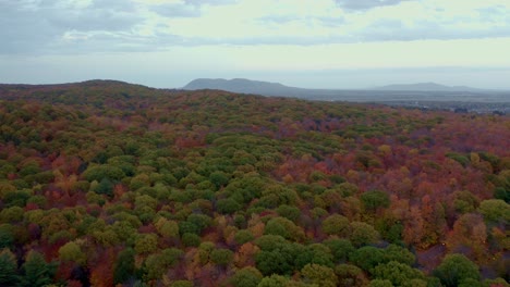 Drohne-Schoss-Im-Herbst-Kanada-über-Einen-Bunten-Wald-Absteigend